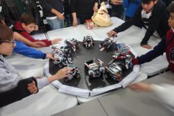 escolapublicas-summer-robotica4